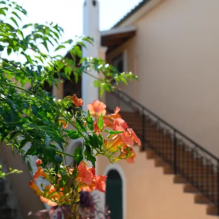 Apartment Xenia's In Alepou Corfu (city)